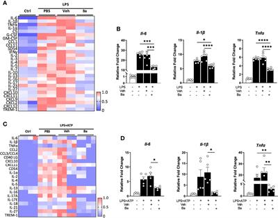 Baicalein—A Potent Pro-Homeostatic Regulator of Microglia in Retinal Ischemic Injury